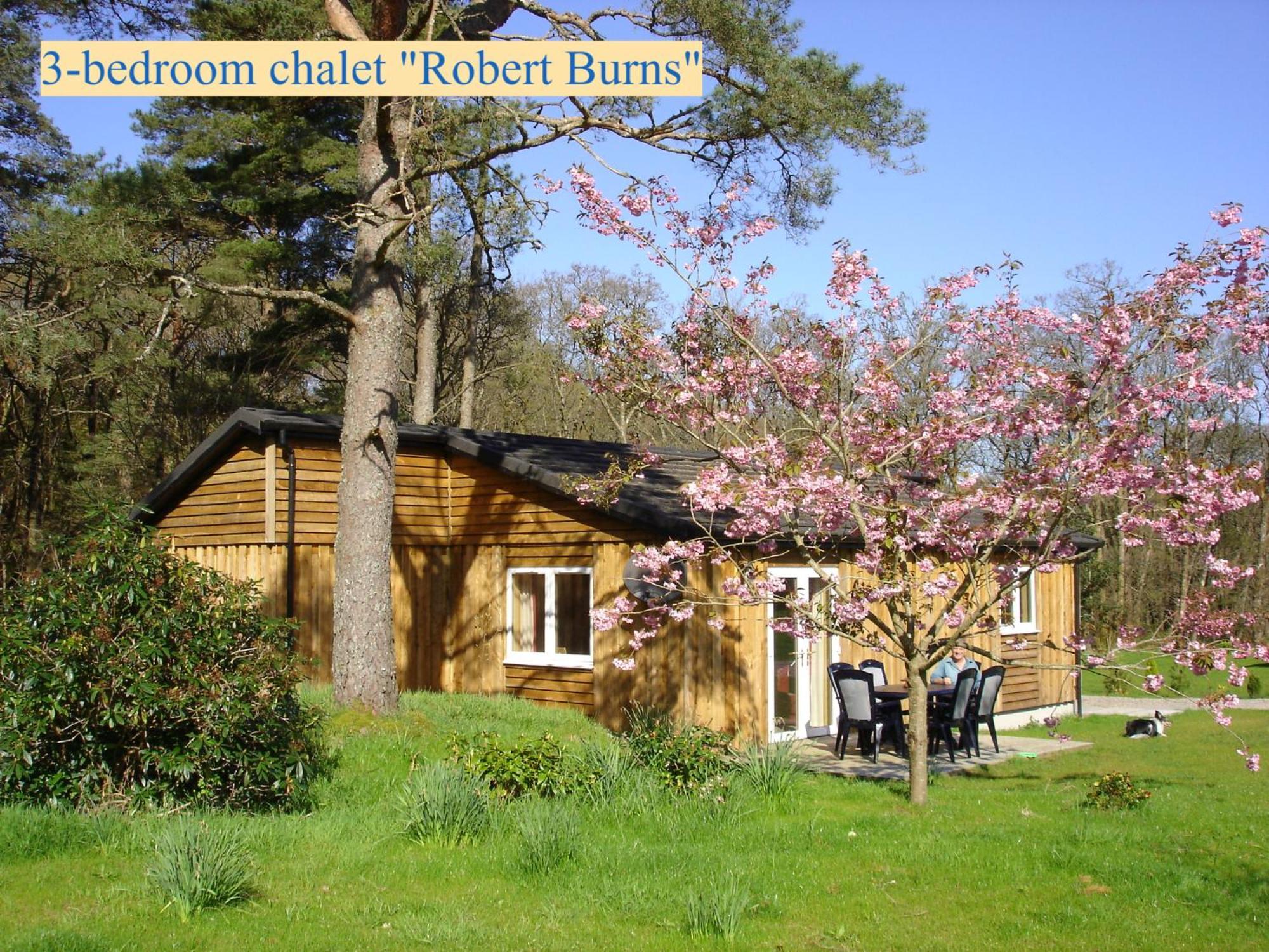 Airdeny Chalets Тейнилт Номер фото